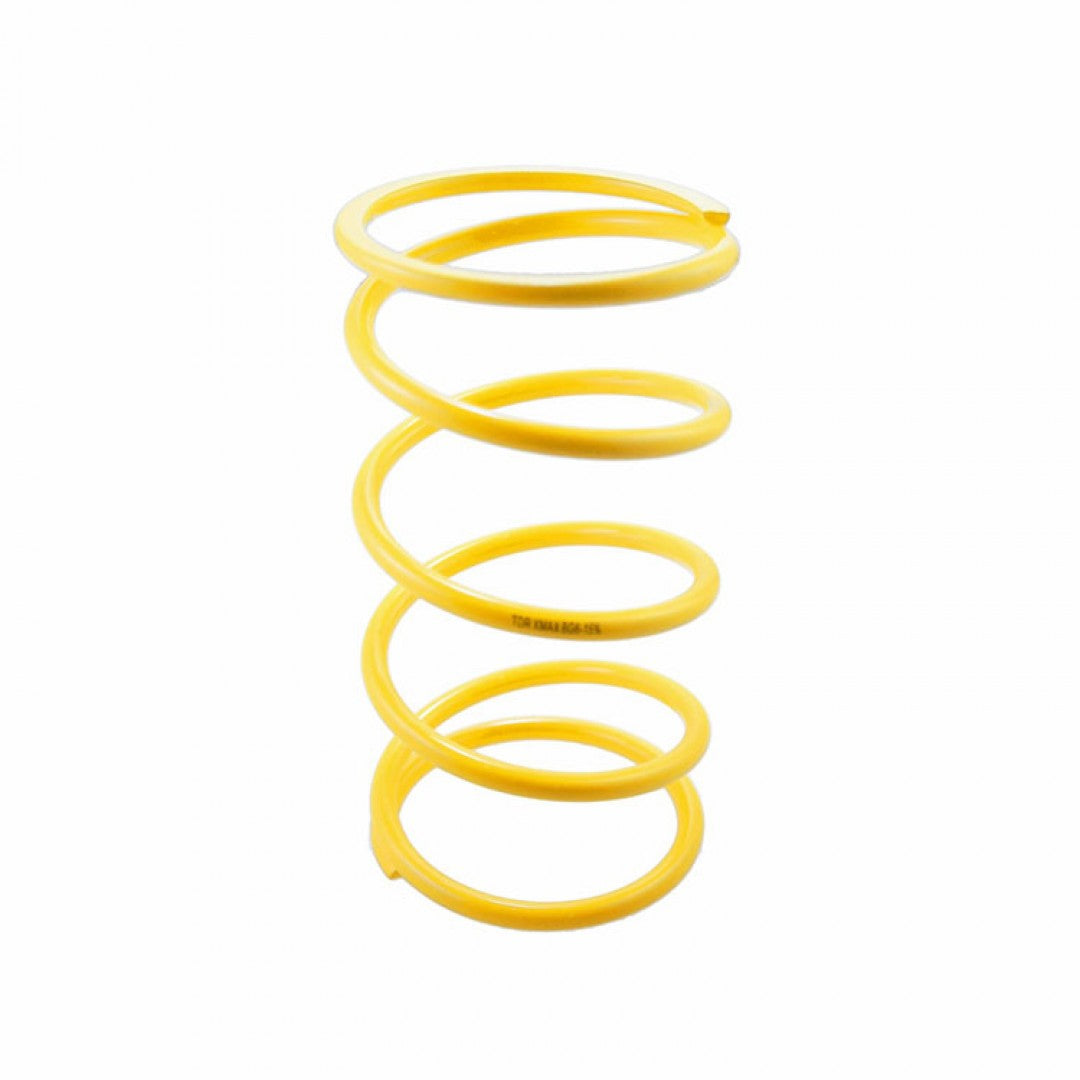 TDR CVT Spring for X-MAX