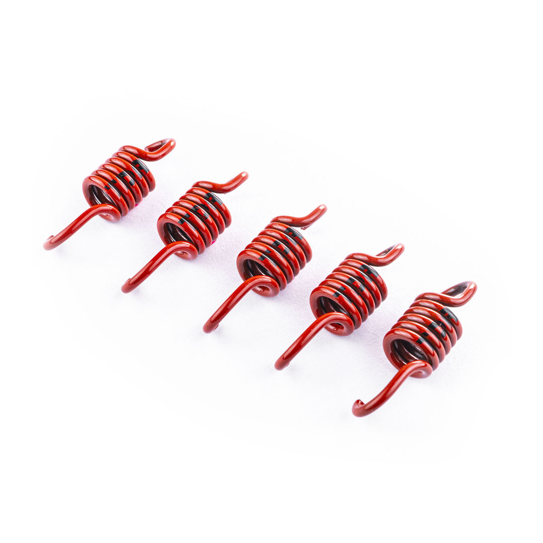 TDR Automatic Clutch Spring Set X-Max (5 pcs)